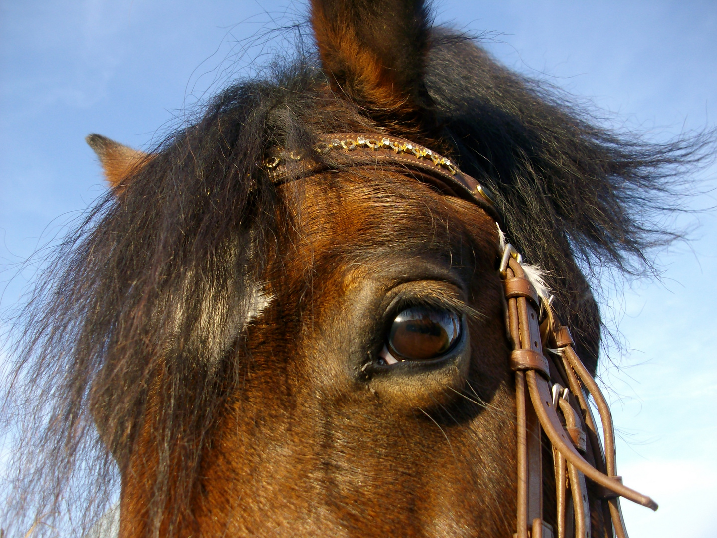 Neugierde im Blick :)