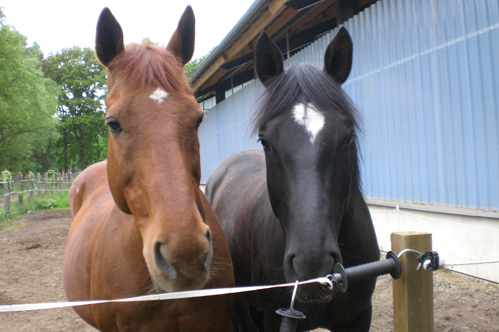 Neugierde im Doppelpack