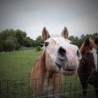 neugieriger Blick