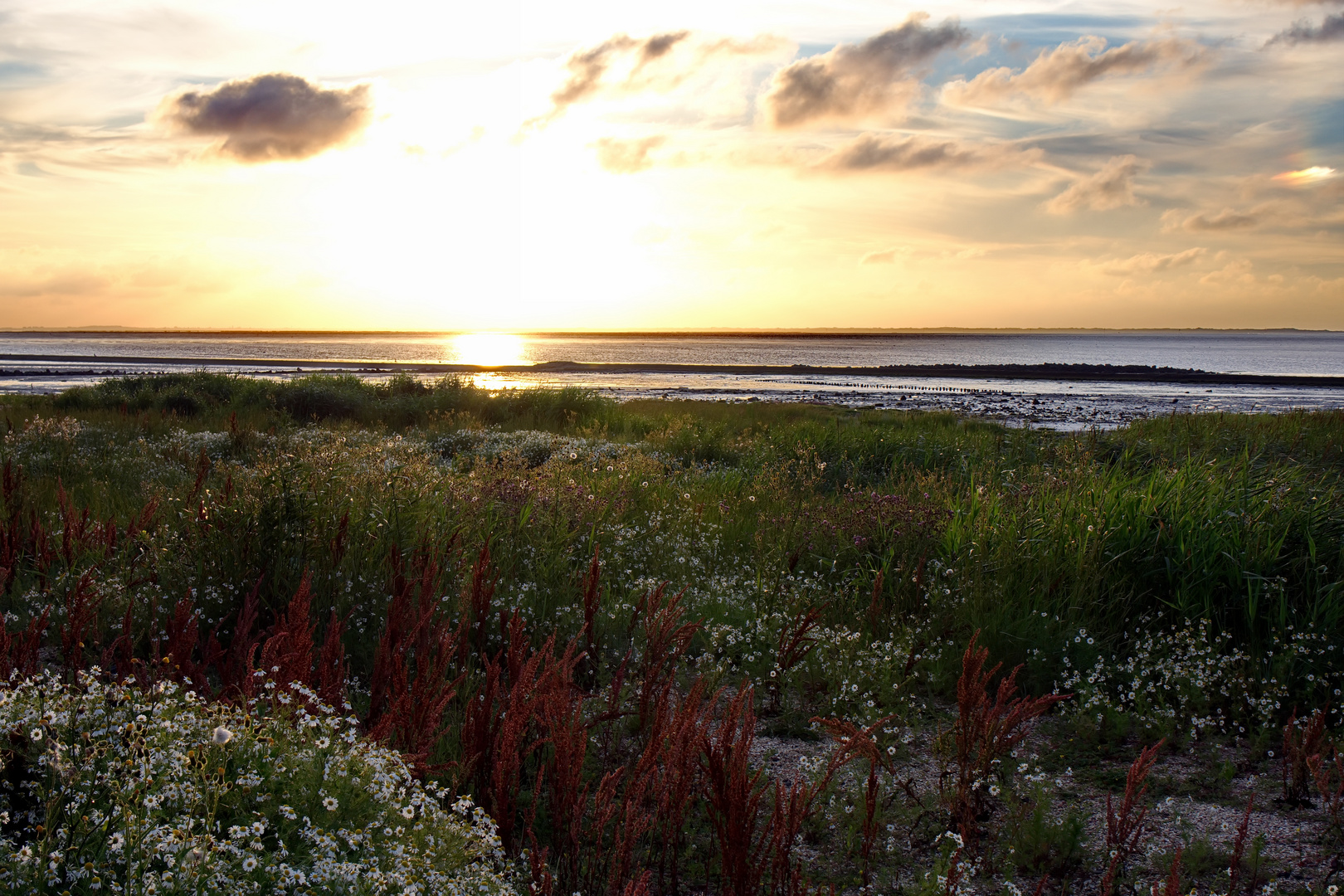 Neuharlingersiel 2016