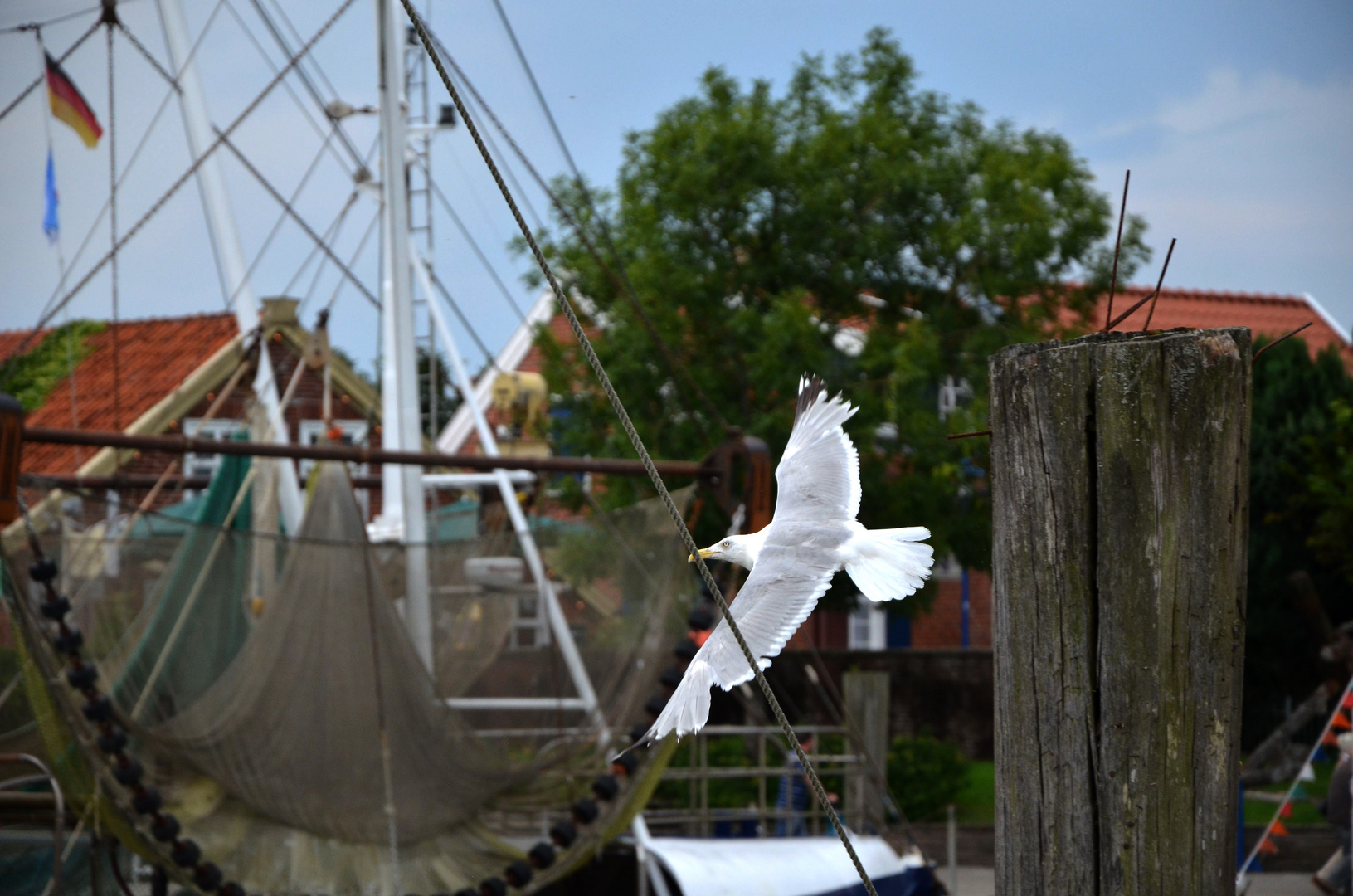 Neuharlingersiel--Hafen