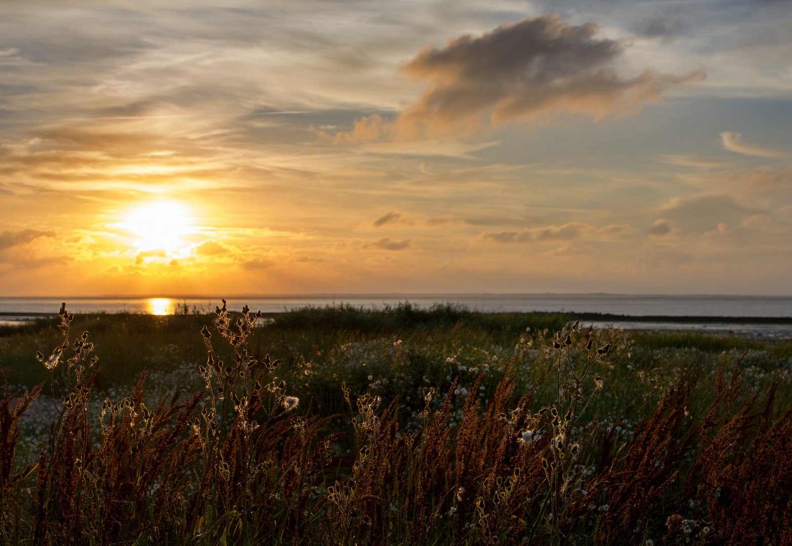 Neuharlingersiel II 2016