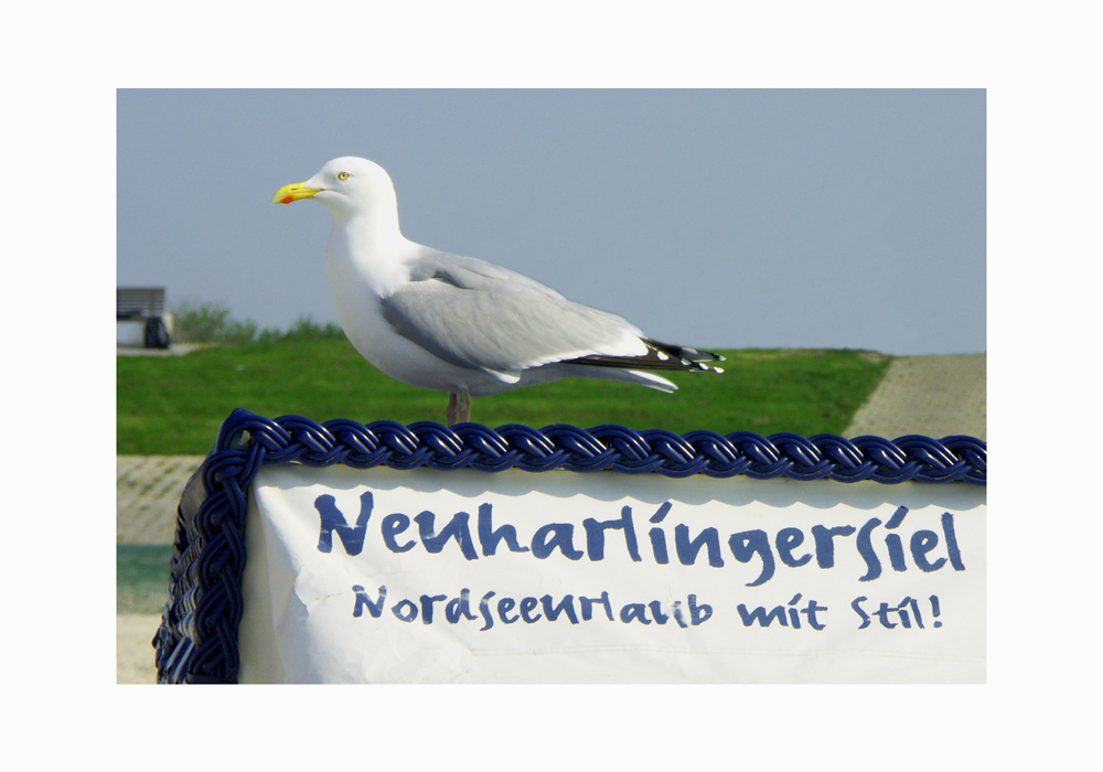 Neuharlingersiel- Urlaub mit Stil