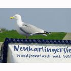 Neuharlingersiel- Urlaub mit Stil