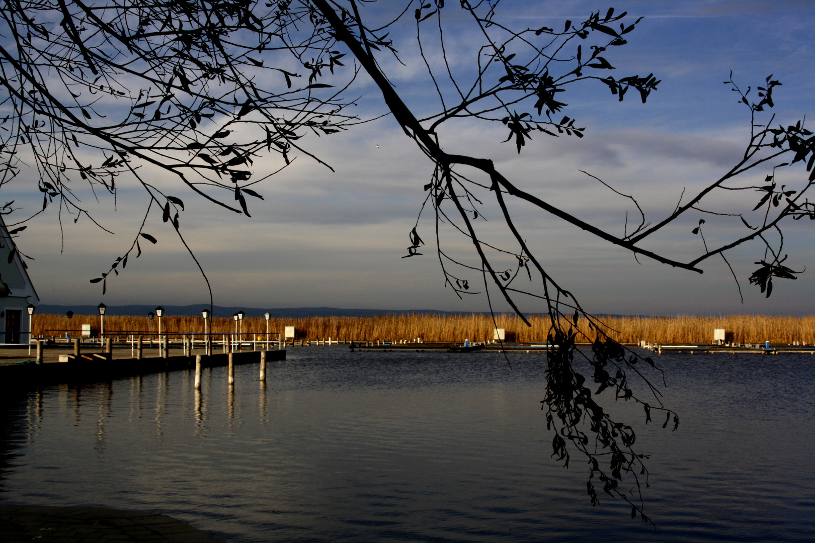 neuiedlersee - herbstlich