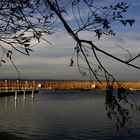 neuiedlersee - herbstlich