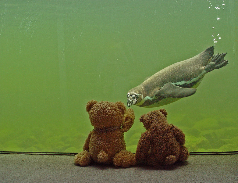 Neuigkeiten aus der Unterwasserwelt