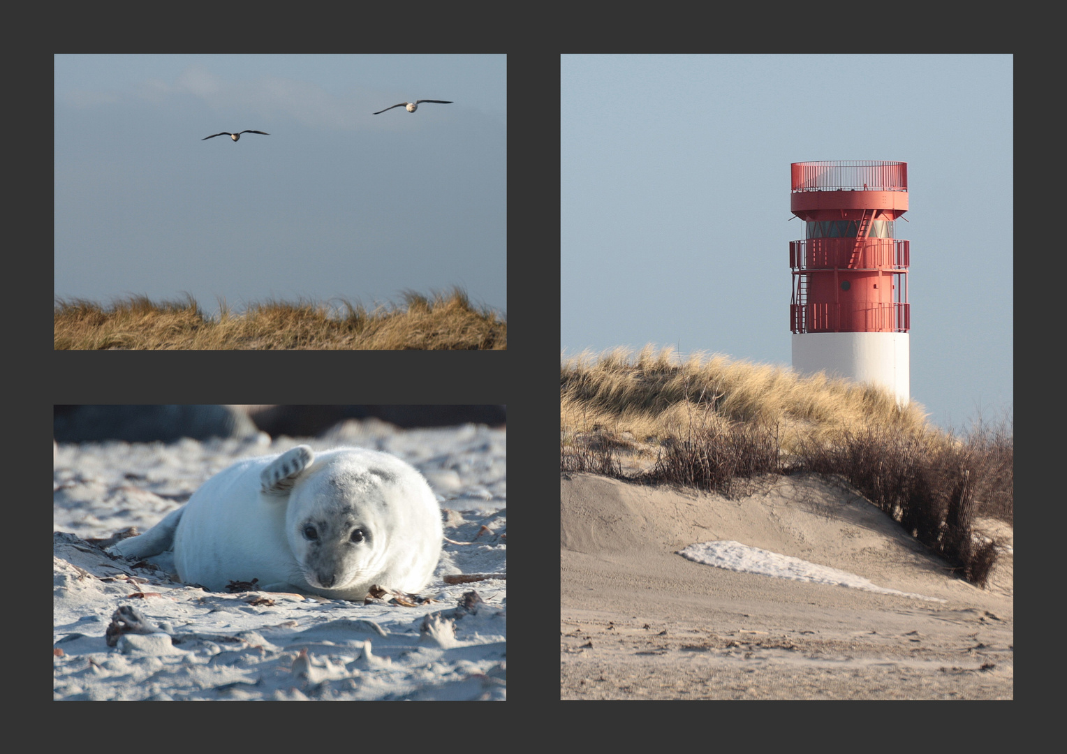 Neujahr 2011 auf der Düne....