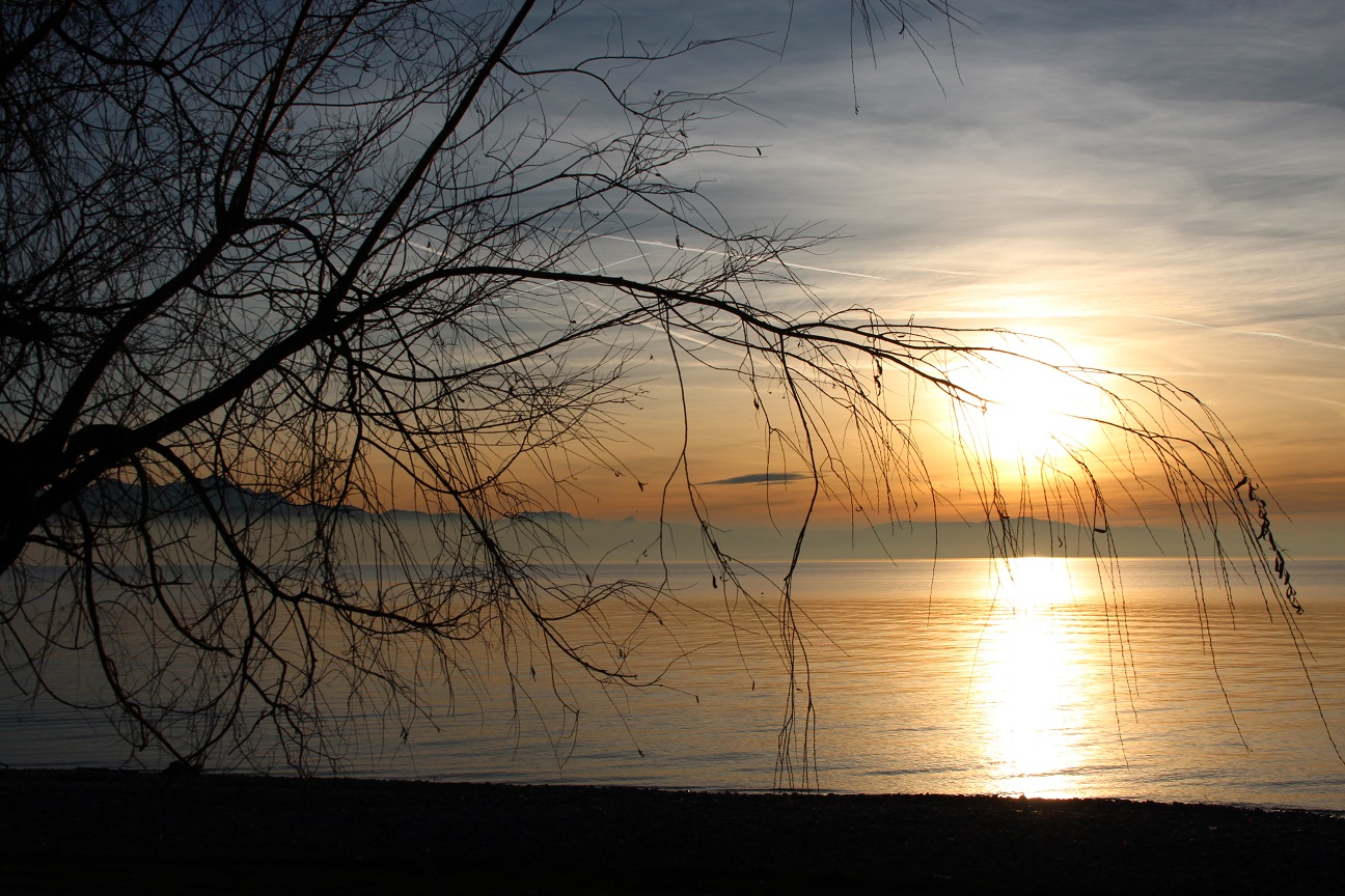 Neujahr 2014 am Bodensee