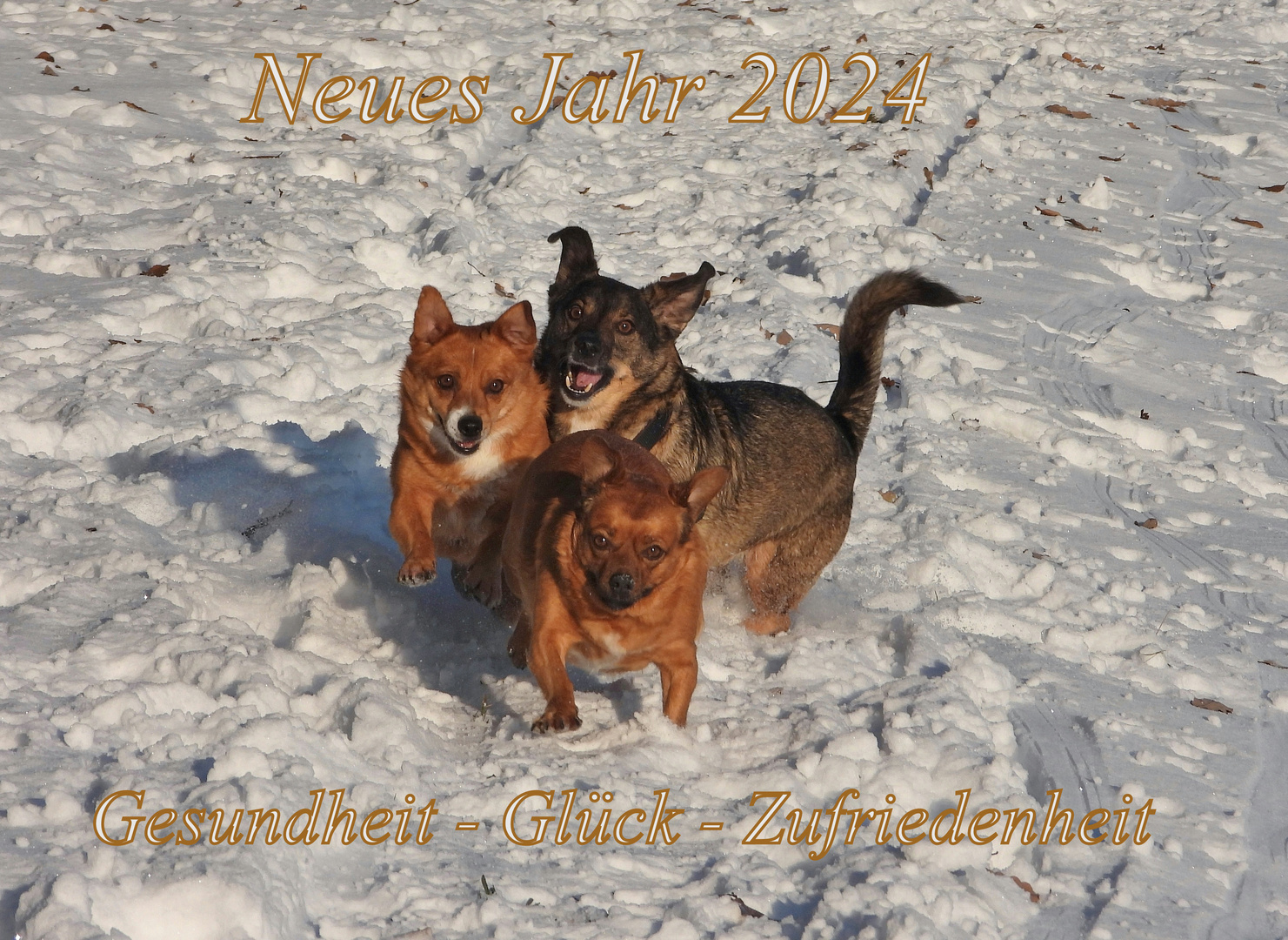 Neujahr 2024 