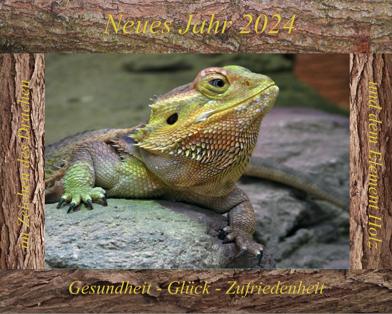 Neujahr 2024 - Drache & Holz_07d