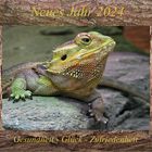 Neujahr 2024 - Drache & Holz_07d