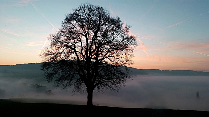 Neujahr Aargau