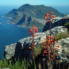 Neujahr am Chapman's Peak