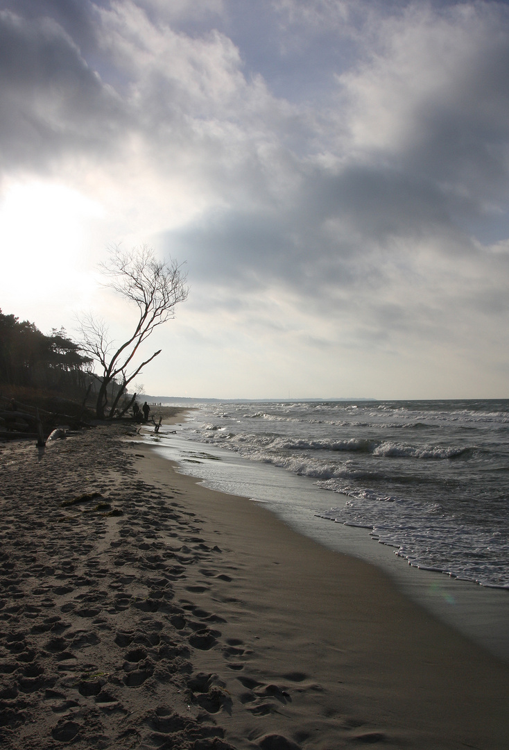 Neujahr am Weststrand...