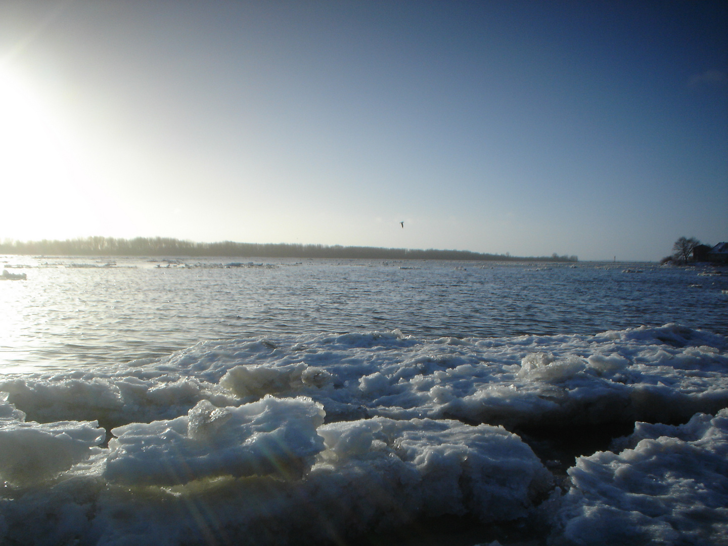 Neujahr an der Elbe