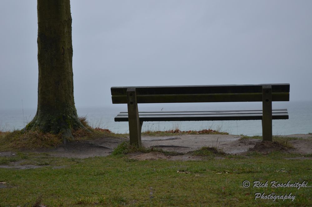 Neujahr im Geisterwald