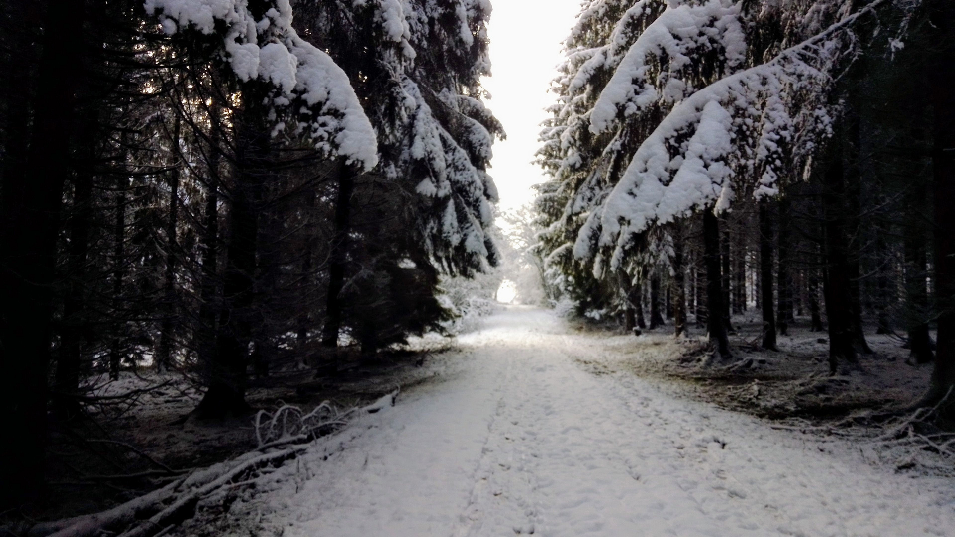 Neujahr in der Eifel