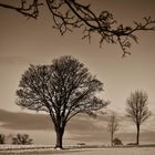 Neujahr in sepia