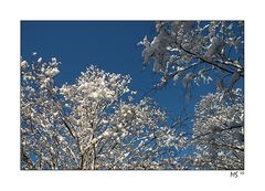 neujahr mit schnee