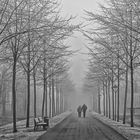 Neujahr spaziergang im Nebel