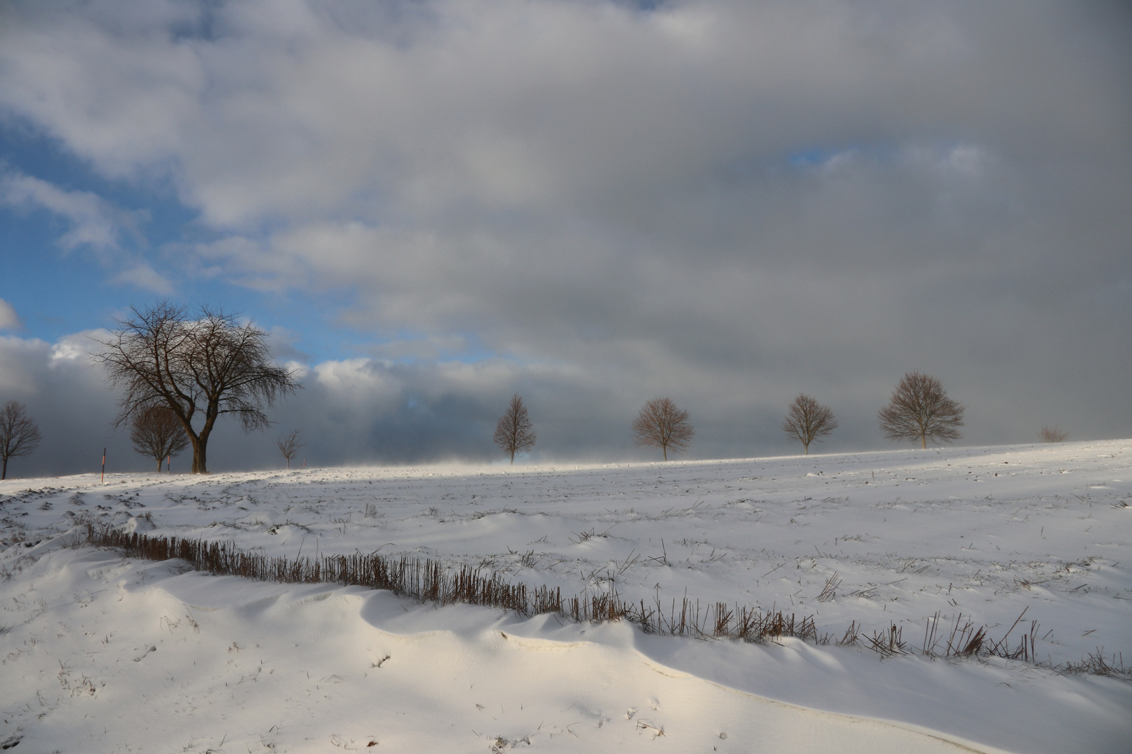 Neujahr Winter 2019