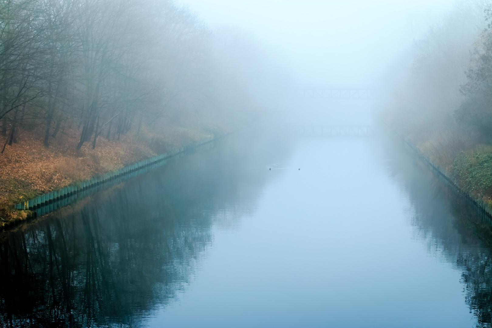 Neujahrnebel