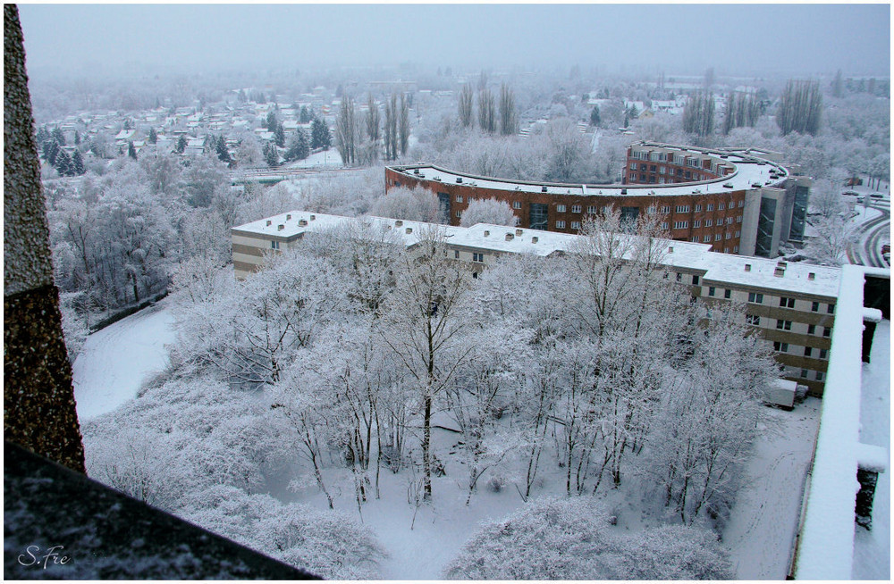 Neujahr/Neuschnee 2