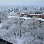 Neujahr/Neuschnee 2