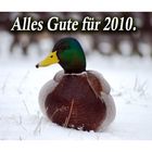 Neujahrs-Ente