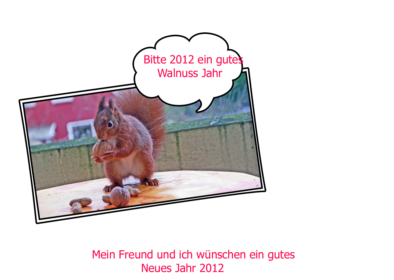 Neujahrs Gruß