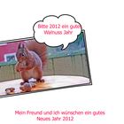 Neujahrs Gruß