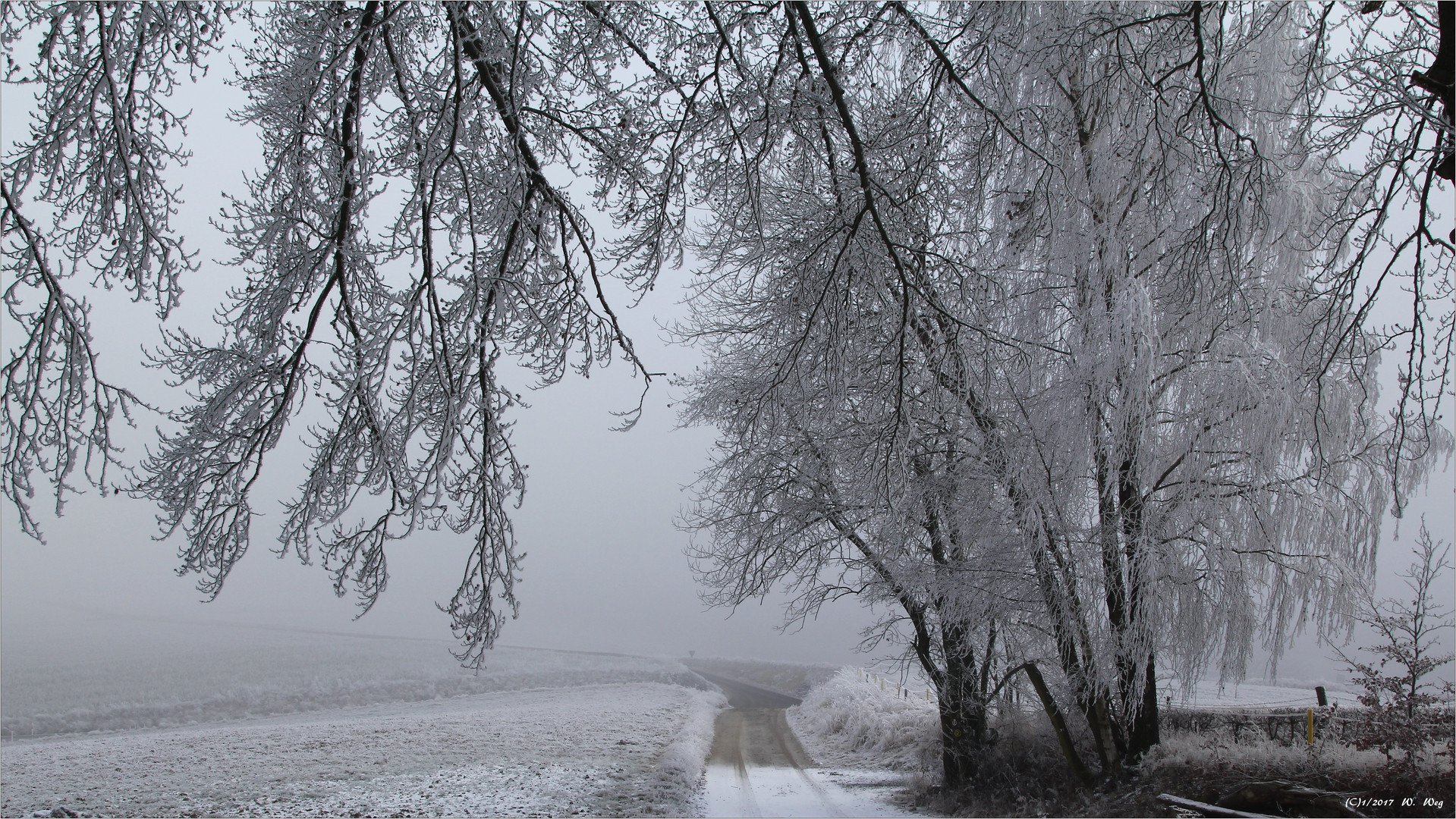 Neujahrs Spaziergang...