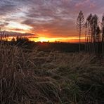 Neujahrsabend im Oberbergischen