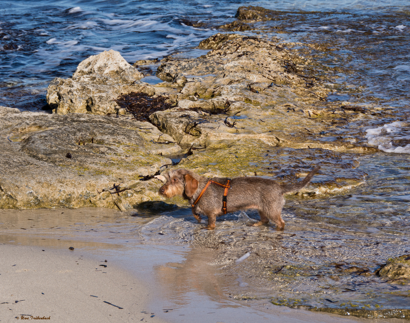 Neujahrsausflug an den Strand von Ses Salines (5)