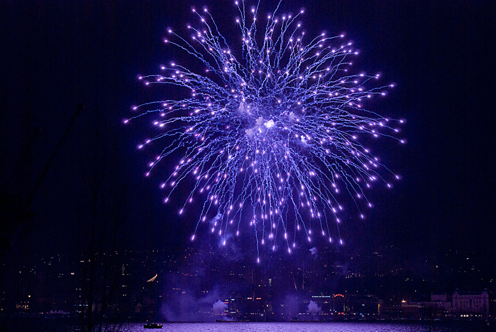 Neujahrsfeuerwerk Zürich