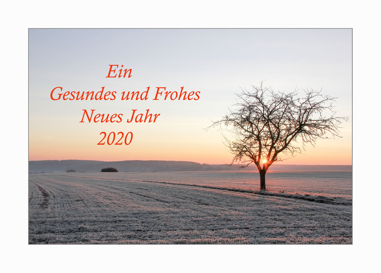 Neujahrsgrüße