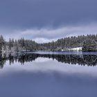 Neujahrsgrüße aus dem Harz - endlich Schnee