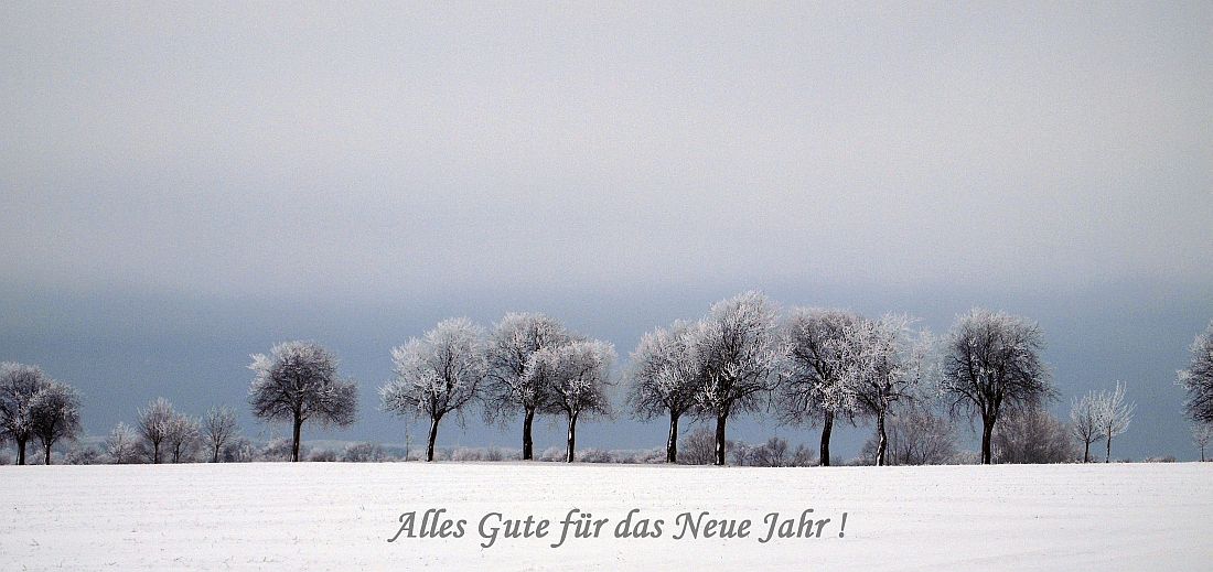 Neujahrsgrüße