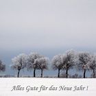 Neujahrsgrüße