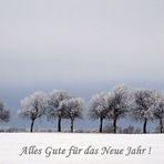 Neujahrsgrüße