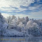 Neujahrsgrüße  -  Winter im Bergpark