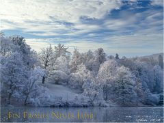 Neujahrsgrüße  -  Winter im Bergpark