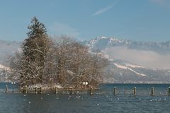 Neujahrsgruss 2 aus Thun, Berner Oberland