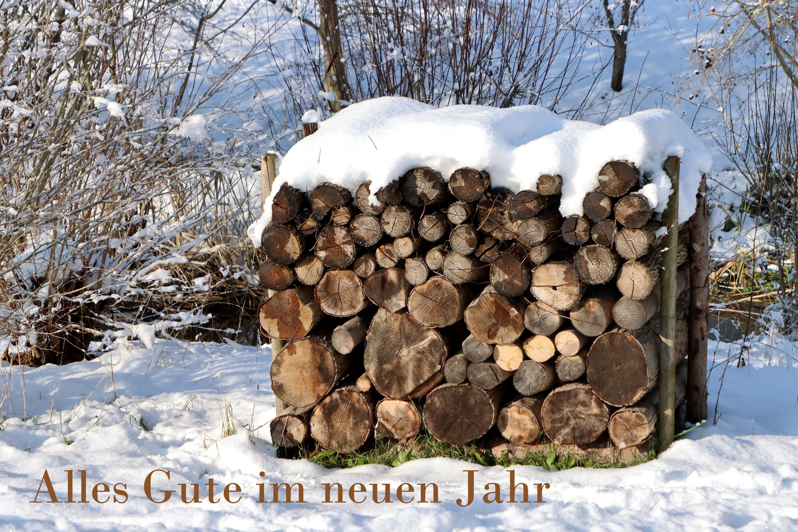 Neujahrsgruss