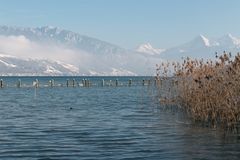 Neujahrsgruss aus Thun, Berner Oberland