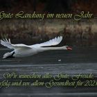 Neujahrsgruß