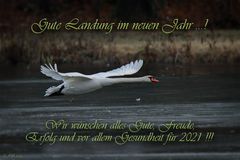 Neujahrsgruß