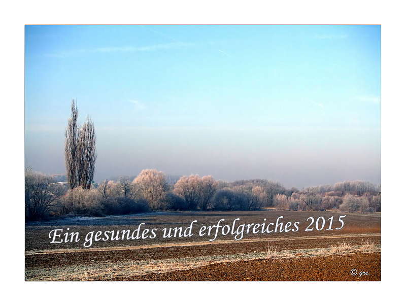 Neujahrsgruß