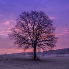 Neujahrsmorgen 2014 ...ein neues Jahr beginnt...